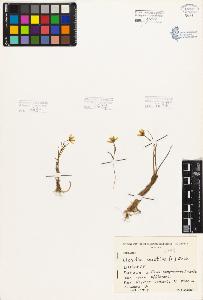 SW_BNB_s3080-03314_IMG-0000000001