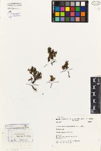 SW_BNB_s3080-03317_IMG-0000000001