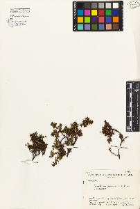 SW_BNB_s3080-03318_IMG-0000000001