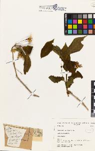 SW_BNB_s3080-03324_IMG-0000000001