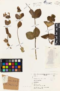 SW_BNB_s3080-03327_IMG-0000000001