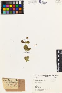 SW_BNB_s3080-03330_IMG-0000000001