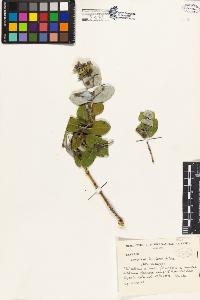 SW_BNB_s3080-03331_IMG-0000000001