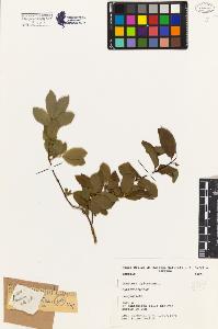 SW_BNB_s3080-03339_IMG-0000000001