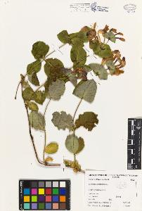 SW_BNB_s3080-03341_IMG-0000000001