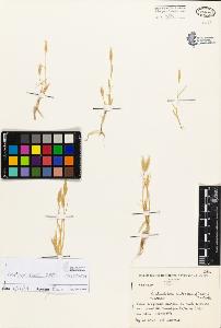 SW_BNB_s3080-03344_IMG-0000000001
