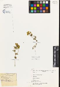 SW_BNB_s3080-03348_IMG-0000000001