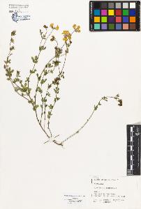 SW_BNB_s3080-03349_IMG-0000000001