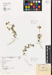 SW_BNB_s3080-03354_IMG-0000000001