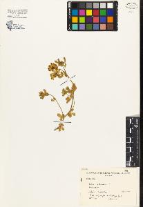 SW_BNB_s3080-03355_IMG-0000000001