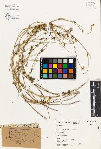 SW_BNB_s3080-03359_IMG-0000000001