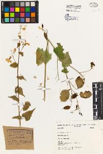 SW_BNB_s3080-03361_IMG-0000000001
