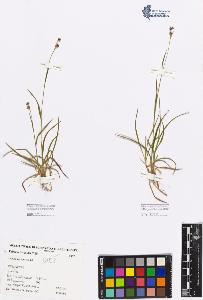 SW_BNB_s3080-03364_IMG-0000000001