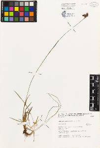 SW_BNB_s3080-03366_IMG-0000000001