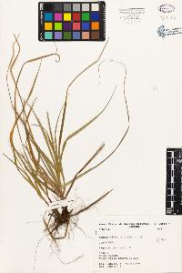SW_BNB_s3080-03375_IMG-0000000001