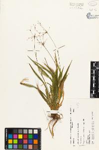 SW_BNB_s3080-03383_IMG-0000000001