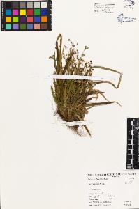 SW_BNB_s3080-03384_IMG-0000000001