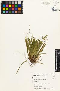 SW_BNB_s3080-03386_IMG-0000000001