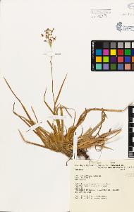 SW_BNB_s3080-03389_IMG-0000000001