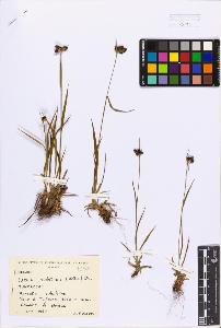 SW_BNB_s3080-03392_IMG-0000000001