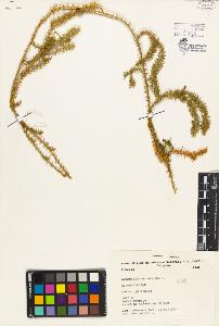 SW_BNB_s3080-03397_IMG-0000000001
