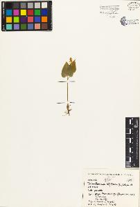 SW_BNB_s3080-03420_IMG-0000000001