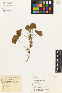 SW_BNB_s3080-03421_IMG-0000000001
