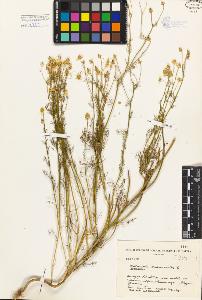 SW_BNB_s3080-03424_IMG-0000000001