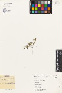 SW_BNB_s3080-03430_IMG-0000000001