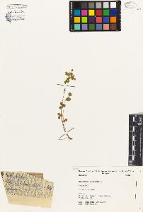 SW_BNB_s3080-03431_IMG-0000000001