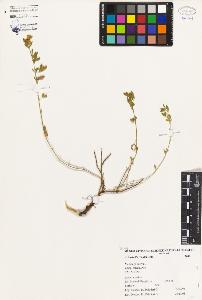 SW_BNB_s3080-03437_IMG-0000000001