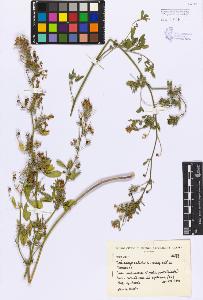 SW_BNB_s3080-03438_IMG-0000000001