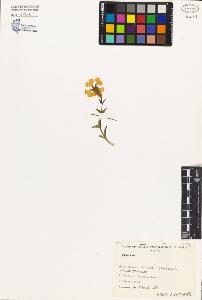 SW_BNB_s3080-03443_IMG-0000000001