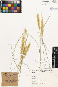 SW_BNB_s3080-03444_IMG-0000000001