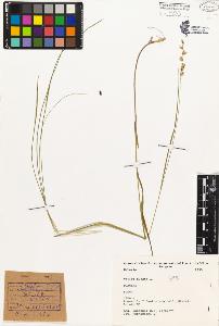 SW_BNB_s3080-03446_IMG-0000000001