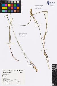 SW_BNB_s3080-03447_IMG-0000000001