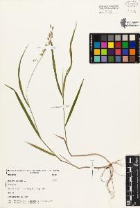 SW_BNB_s3080-03448_IMG-0000000001