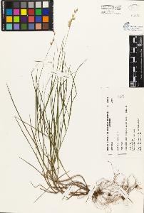 SW_BNB_s3080-03451_IMG-0000000001