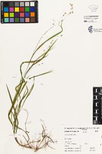 SW_BNB_s3080-03457_IMG-0000000001