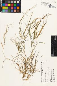 SW_BNB_s3080-03459_IMG-0000000001
