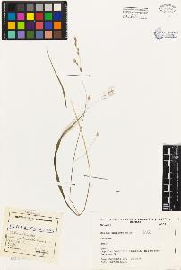 SW_BNB_s3080-03460_IMG-0000000001