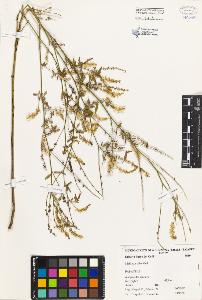 SW_BNB_s3080-03461_IMG-0000000001