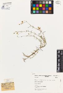 SW_BNB_s3080-03504_IMG-0000000001