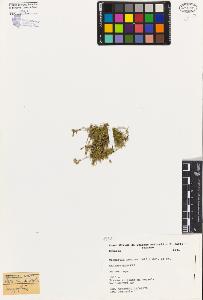 SW_BNB_s3080-03509_IMG-0000000001