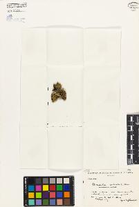 SW_BNB_s3080-03511_IMG-0000000001