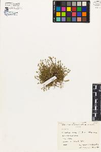 SW_BNB_s3080-03512_IMG-0000000001