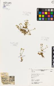 SW_BNB_s3080-03513_IMG-0000000001