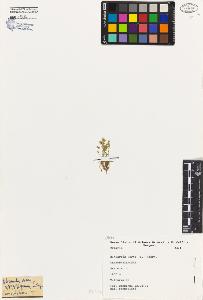 SW_BNB_s3080-03516_IMG-0000000001