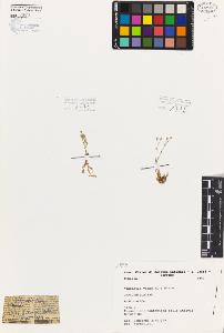 SW_BNB_s3080-03517_IMG-0000000001