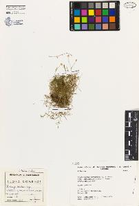 SW_BNB_s3080-03518_IMG-0000000001